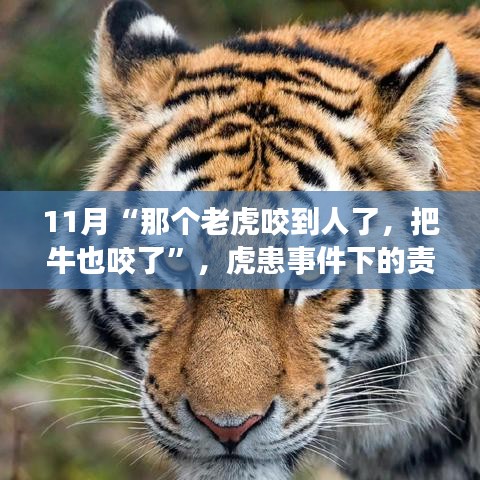虎患事件下的責任與反思，動物保護與人居安全的平衡探討