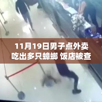 男子外賣驚現(xiàn)多只蟑螂引發(fā)食品安全警鐘事件，飯店遭查背后真相揭秘