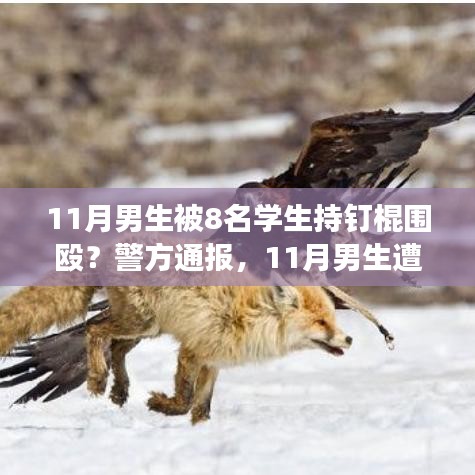警方通報，11月男生遭學(xué)生持釘棍圍毆事件深度解析與解讀