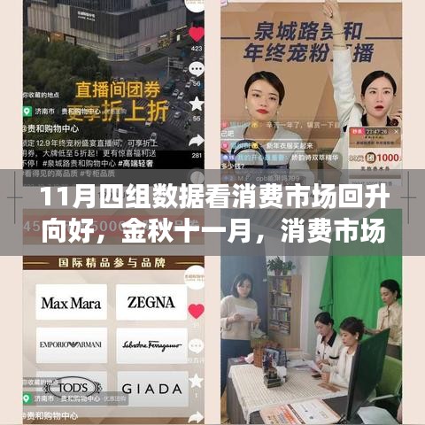 金秋十一月消費(fèi)市場回暖趨勢解析，四大數(shù)據(jù)揭示市場回升向好態(tài)勢