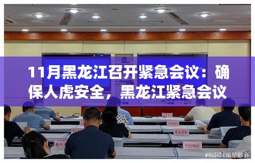 黑龍江召開緊急會議，共筑人虎安全防線，守護(hù)家園和諧安寧