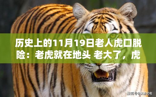 第3621頁