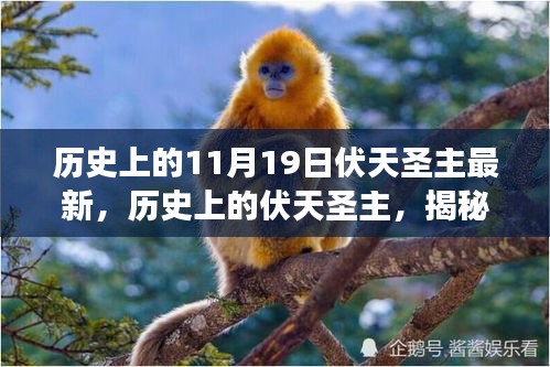 揭秘歷史上的伏天圣主，神秘事件與重大時(shí)刻的交織最新資訊（最新篇）