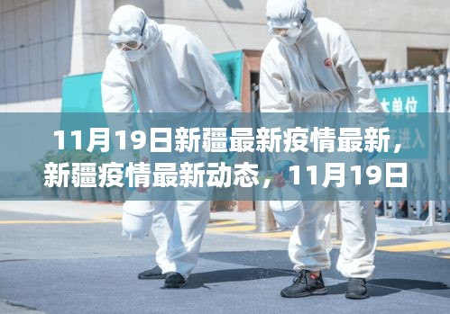 新疆疫情最新動態(tài)，11月19日抗疫進展與影響概述