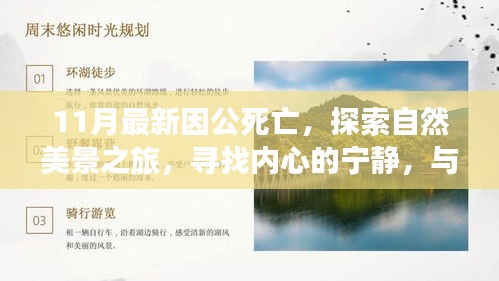 因公死亡后的重生之旅，探尋自然美景，尋求內(nèi)心寧?kù)o，告別塵世紛擾