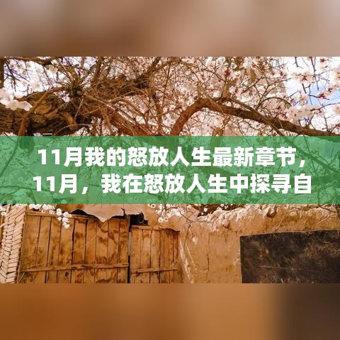 11月探尋自然秘境，怒放人生中的內(nèi)心寧?kù)o與平和