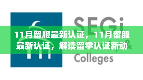 解讀最新留服認(rèn)證動態(tài)，助力留學(xué)生職業(yè)發(fā)展，十一月留學(xué)認(rèn)證更新概覽