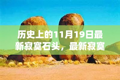 溫馨故事，友情與陪伴的旅程——最新寂寞石頭紀(jì)念歷史上的11月19日