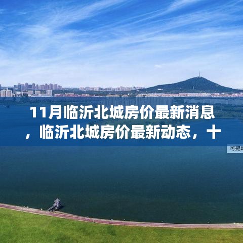 臨沂北城房價最新動態(tài)與深度觀察，十一月房價消息一覽