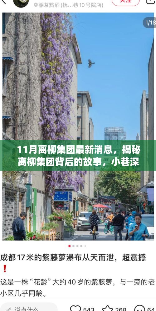 離柳集團(tuán)最新揭秘，小巷深處的獨(dú)特風(fēng)味小店十一月探訪之旅