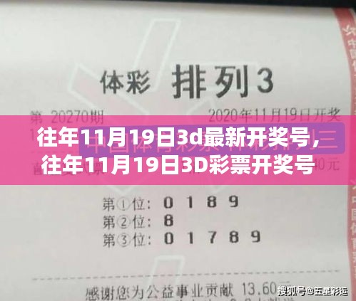 往年11月19日3D彩票開獎號碼詳解，評測、特性、用戶體驗、競品對比及用戶分析