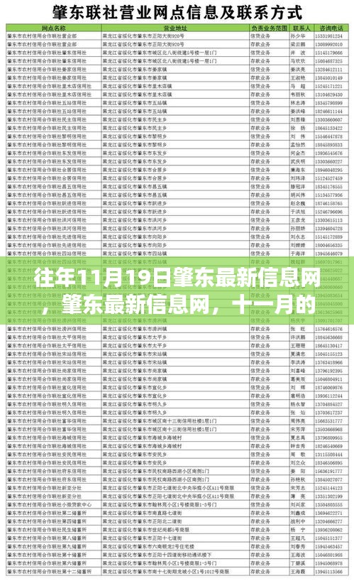 肇東最新信息動(dòng)態(tài)，十一月回響與時(shí)代印記