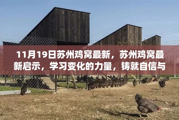 蘇州雞窩最新啟示，學(xué)習(xí)變化的力量，鑄就自信與成就之路