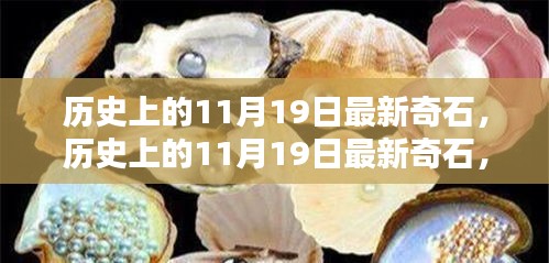 歷史上的11月19日，最新奇石的獨(dú)特魅力與深度解析