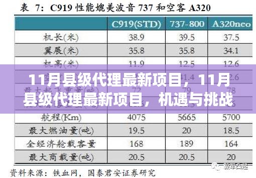 11月縣級(jí)代理最新項(xiàng)目，機(jī)遇與挑戰(zhàn)并存