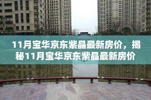 揭秘，11月寶華京東紫晶最新房價與投資先機全解析！