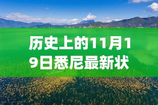 歷史上的11月19日，悉尼最新狀況與秘境探索，自然美景中的心靈之旅