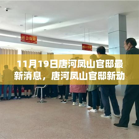 唐河鳳山官邸新動(dòng)態(tài)，蛻變之月，學(xué)習(xí)成就自信之光