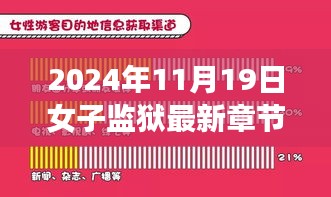 女子監(jiān)獄揭秘，林洛的成長(zhǎng)與蛻變最新章節(jié)（2024年11月19日更新）