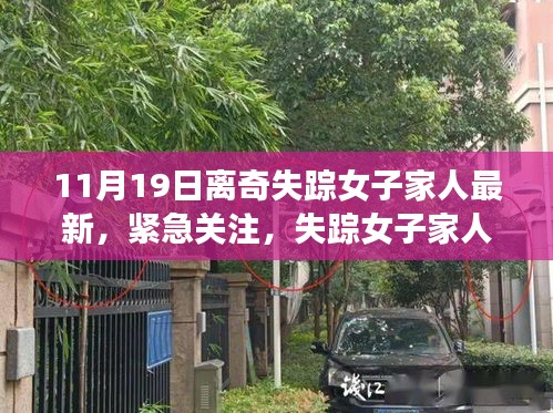失蹤女子最新動態(tài)揭秘，家人緊急關(guān)注，11月離奇失蹤案件真相探尋