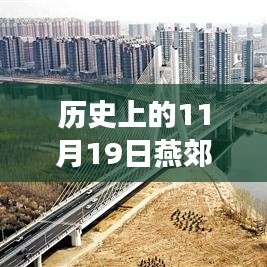 歷史上的11月19日，燕郊徐尹路最新進展全面綜述