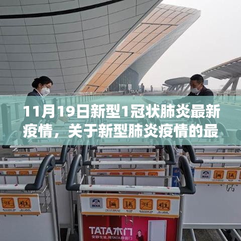 11月19日新型肺炎疫情最新動態(tài)觀察報告