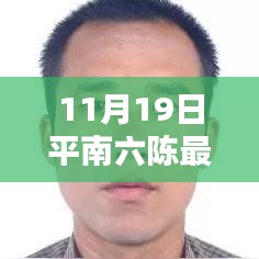 平南六陳最新動態(tài)報道，聚焦要聞，揭秘11月19日最新消息