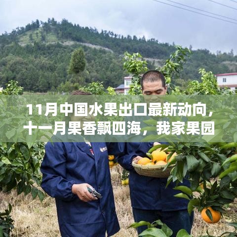 11月水果出口最新動(dòng)態(tài)，果香飄四海，跨國友情與果園的出口奇遇