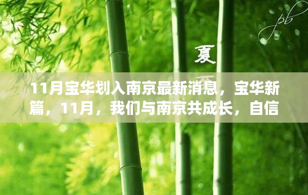 11月寶華劃入南京最新動態(tài)，共成長，啟新篇的自信與成就感之旅
