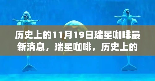 瑞星咖啡歷史上的11月19日，回望與最新消息的影響