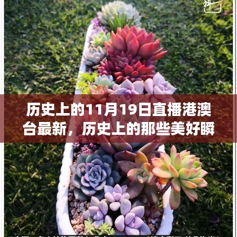 林下風氣 第7頁