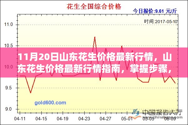 山東花生最新行情解析，掌握價(jià)格走勢，洞悉市場動(dòng)態(tài)（11月20日）