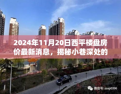 揭秘繁華西平樓盤背后的神秘小店與最新房價動態(tài)，2024年西平房產(chǎn)最新消息及小巷風(fēng)情探索