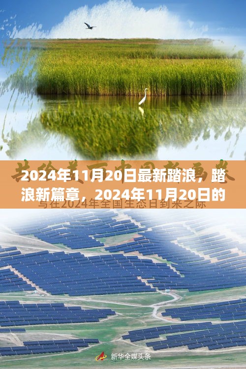 2024年11月20日踏浪新篇章，心靈與自然之旅