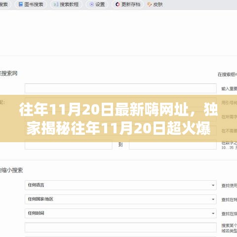 獨家揭秘，往年11月20日超火爆嗨網(wǎng)址大放送，嗨不停歇的狂歡盛宴！