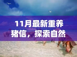 杳無(wú)音訊 第6頁(yè)