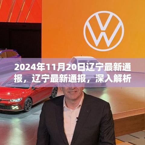 遼寧通報解析，XXXX產(chǎn)品特性與體驗深度探討，競品對比與目標(biāo)用戶群體深度分析（2024年11月20日）