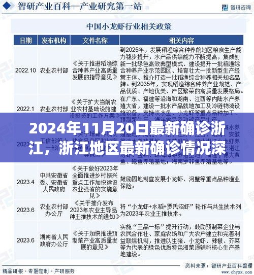 浙江最新確診深度解析，挑戰(zhàn)與機(jī)遇并存——浙江地區(qū)疫情報(bào)告（2024年11月20日）