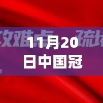 中國冠狀病毒最新狀態(tài)深度解析（截至日期，11月20日）