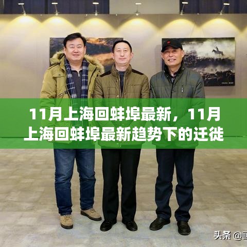 11月上海回蚌埠最新趨勢觀察與遷徙個人觀點分享