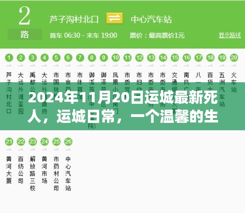 溫馨告別，友情長(zhǎng)存——運(yùn)城日常的生命告別故事（2024年11月20日最新）