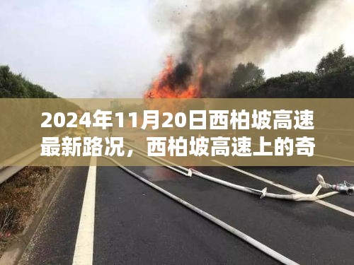 飛揚撥扈 第6頁