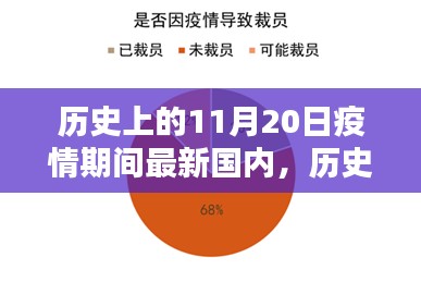 我的觀點(diǎn)，歷史上的11月20日與疫情期間國(guó)內(nèi)現(xiàn)狀的探討