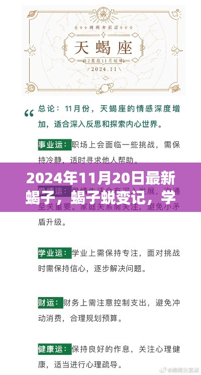 蝎子蛻變之旅，學(xué)習(xí)變化中的自信與成就感探尋（2024年11月20日最新）