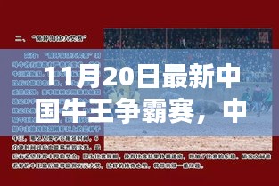 中國牛王爭霸賽深度探討，某某觀點(diǎn)解析與對(duì)決