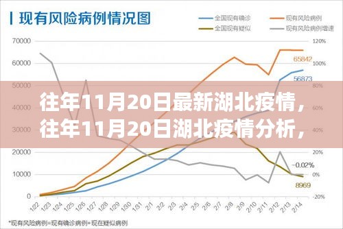 往年11月20日湖北疫情深度分析與解讀，最新數(shù)據(jù)、觀點(diǎn)闡述及趨勢預(yù)測
