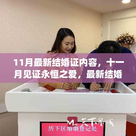 十一月見證永恒之愛，最新結(jié)婚證內(nèi)容深度解析