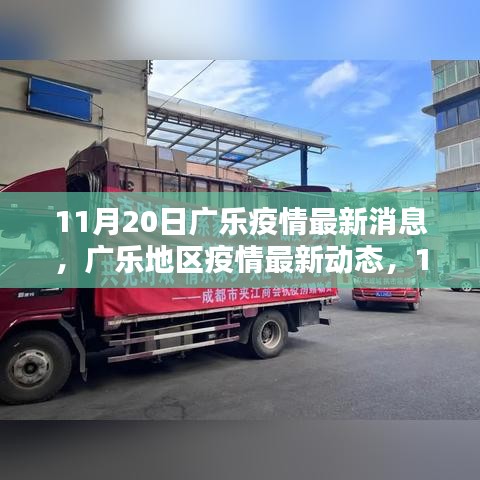 11月20日廣樂疫情最新動(dòng)態(tài)，回顧與影響