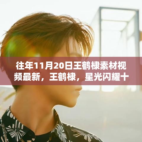 王鶴棣星光閃耀十一月，最新素材視頻回顧