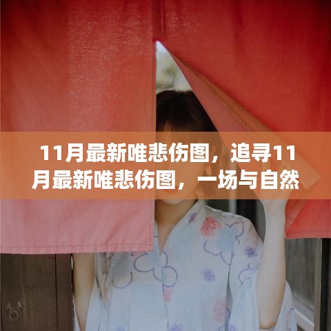 11月最新唯悲傷圖，與自然共舞的心靈治愈之旅